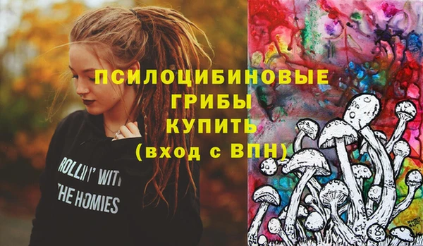 соль курить ск Алексеевка