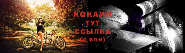 мет Пересвет
