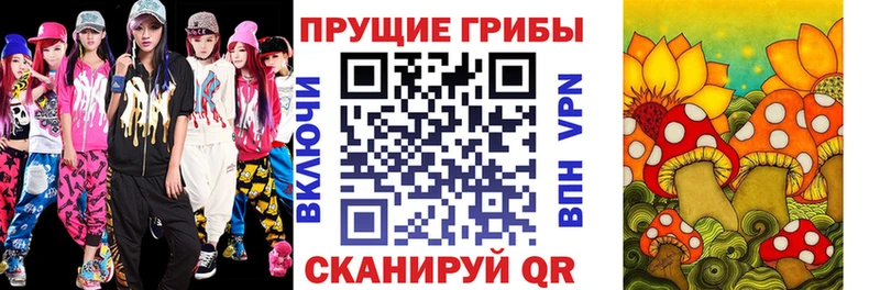 Псилоцибиновые грибы мицелий Серов